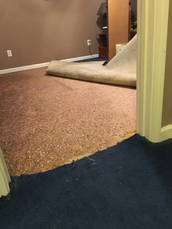 Carpet pad removal revealing water damage during Drying & Dehumidification in Danbury