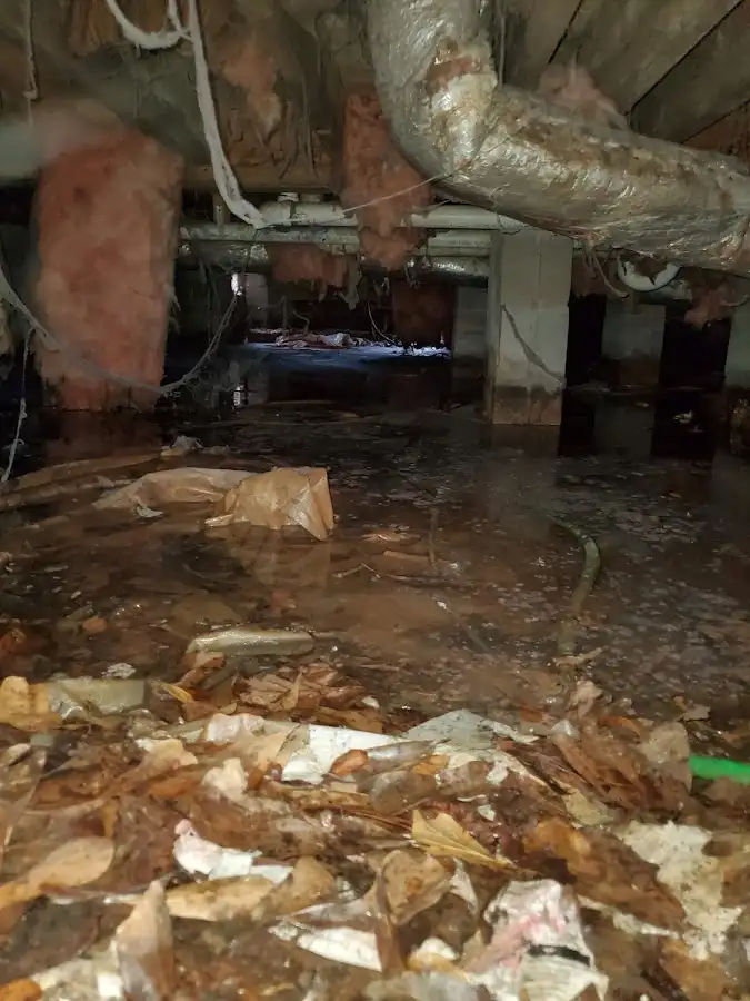 Crawl space flood assessment for Leak Detection & Repair in Danbury